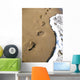 Human Footprints Leading along Wall Decal