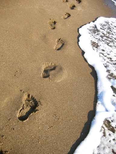 Human Footprints Leading along Wall Decal