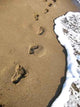 Human Footprints Leading along Wall Decal