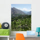 Pakistan 069f Hunza Wall Decal