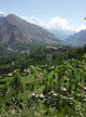 Pakistan 069f Hunza Wall Decal