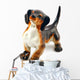 Dog Figurine Made Ceramics Wall Decal