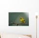 Goldfinch American Wall Mural