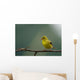 Goldfinch American Wall Mural
