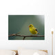 Goldfinch American Wall Mural