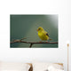 Goldfinch American Wall Mural