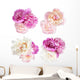 Four Bunches Peonies Flower Wall Decal Sticker Set