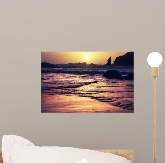 Olympic Coast Wall Decal