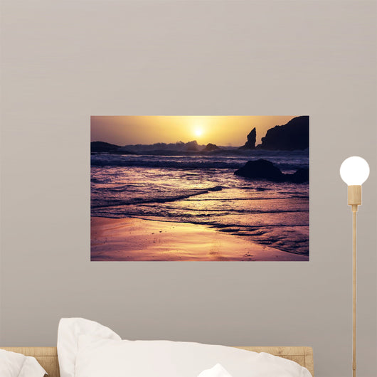 Olympic Coast Wall Decal