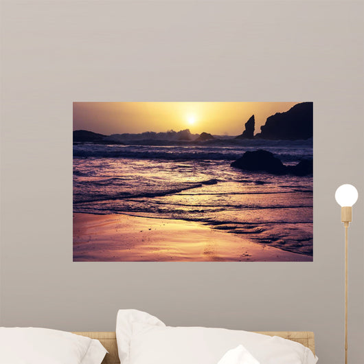 Olympic Coast Wall Decal