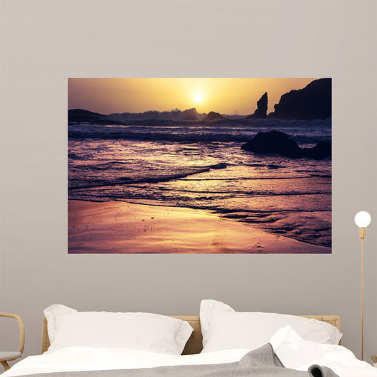Olympic Coast Wall Decal