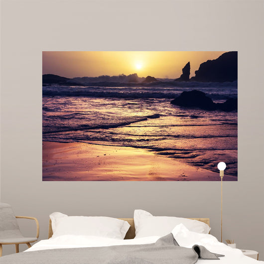 Olympic Coast Wall Decal