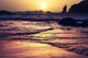 Olympic Coast Wall Decal