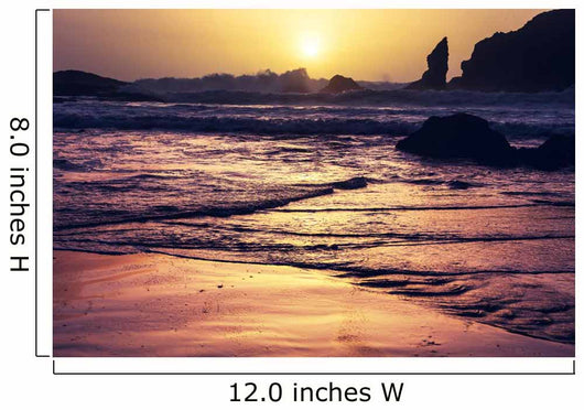 Olympic Coast Wall Decal