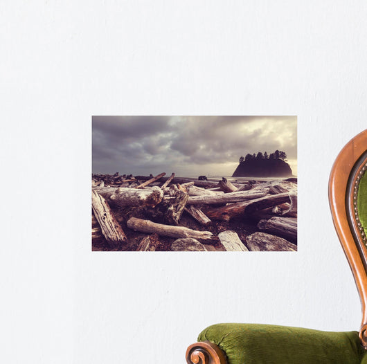 Driftwood Olympic Coastal Beach Wall Decal