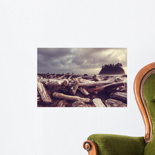 Driftwood Olympic Coastal Beach Wall Decal