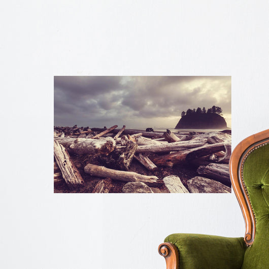 Driftwood Olympic Coastal Beach Wall Decal
