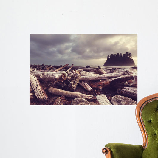 Driftwood Olympic Coastal Beach Wall Decal