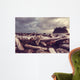 Driftwood Olympic Coastal Beach Wall Decal