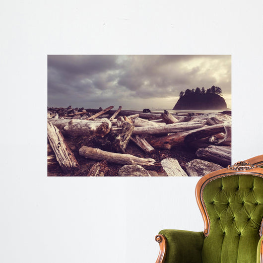 Driftwood Olympic Coastal Beach Wall Decal