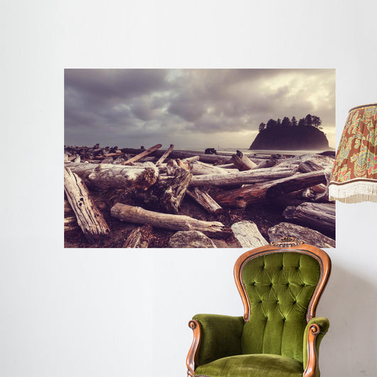 Driftwood Olympic Coastal Beach Wall Decal