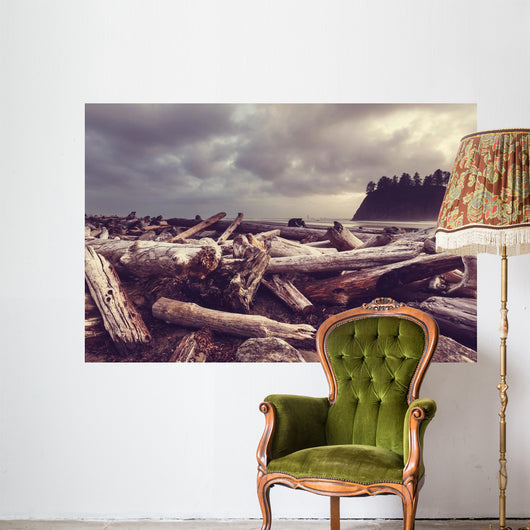 Driftwood Olympic Coastal Beach Wall Decal