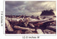 Driftwood Olympic Coastal Beach Wall Decal