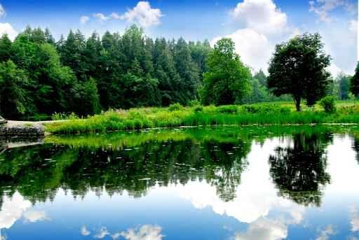 River Landscape Wall Decal