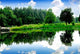 River Landscape Wall Decal
