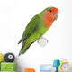 Peach-faced Lovebird Wall Decal
