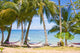 Palm Beach Wall Decal