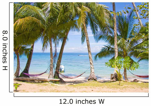 Palm Beach Wall Decal