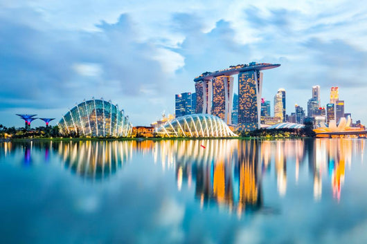 Singapore Skyline and Marina Wall Decal