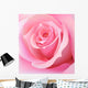 Pink Rose Wall Decal
