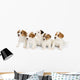 Five Jack Russell Puppies Wall Decal