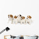 Five Jack Russell Puppies Wall Decal