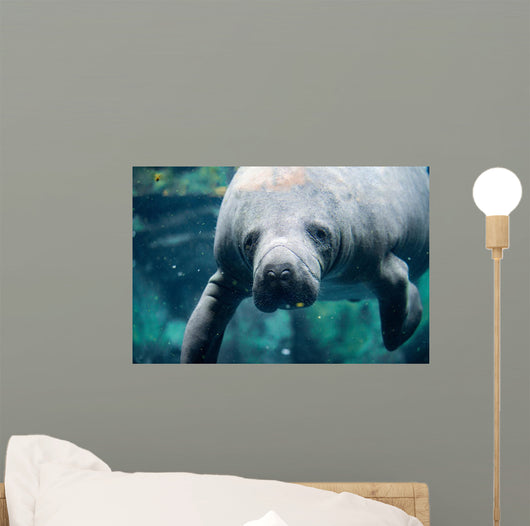 Up Portrait Manatee Wall Decal