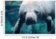 Up Portrait Manatee Wall Decal
