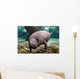 Close-up Newborn Baby Manatee Wall Decal