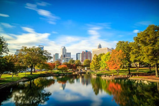 Downtown Charlotte North Carolina Skyline Park Wall Decal