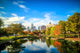Downtown Charlotte North Carolina Skyline Park Wall Decal