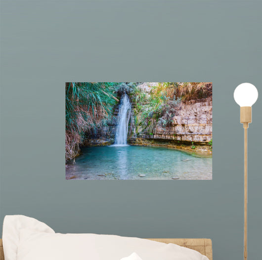 Walk National Park Ein Wall Decal