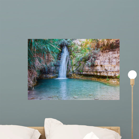 Walk National Park Ein Wall Decal