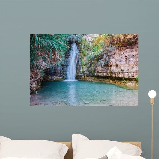 Walk National Park Ein Wall Decal