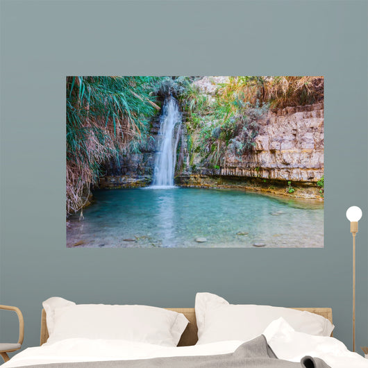 Walk National Park Ein Wall Decal