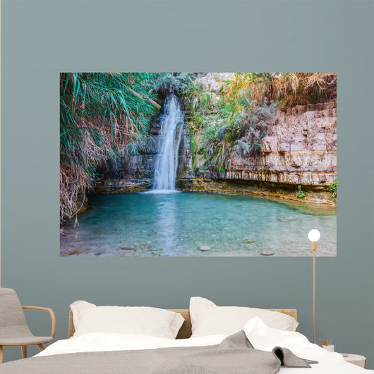 Walk National Park Ein Wall Decal