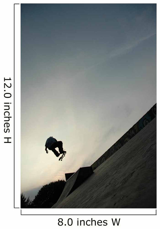 Skater Wall Decal