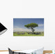 Herd Zebra Serengeti Wall Decal