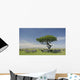 Herd Zebra Serengeti Wall Decal