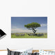 Herd Zebra Serengeti Wall Decal